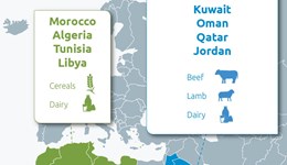 Middle East and North Africa (MENA): Consumer insight
